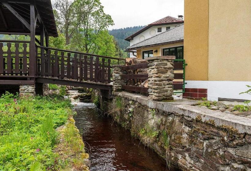 ペンション Penzion Rejštejn