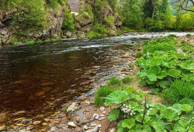 Majatalo Penzion Rejštejn