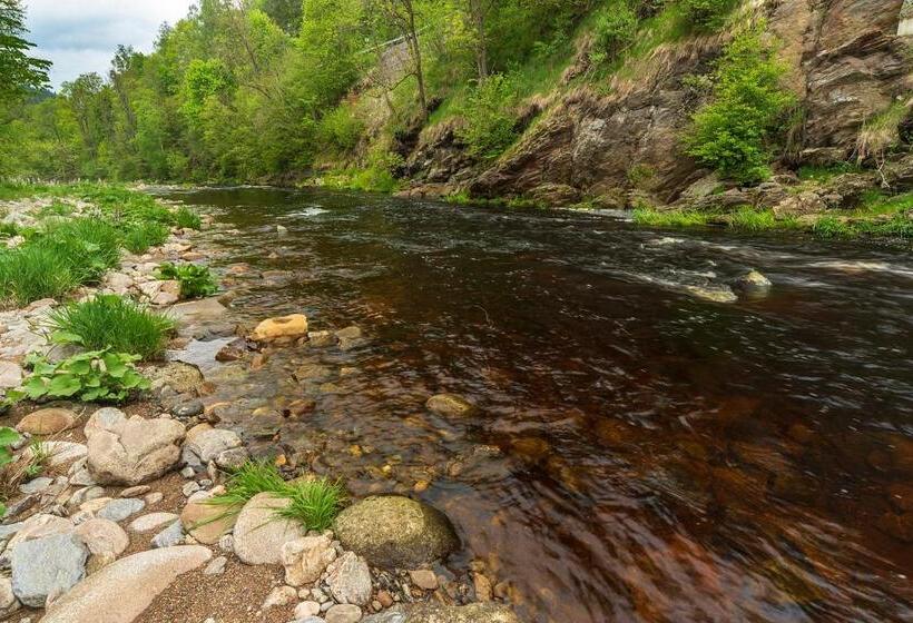 ペンション Penzion Rejštejn