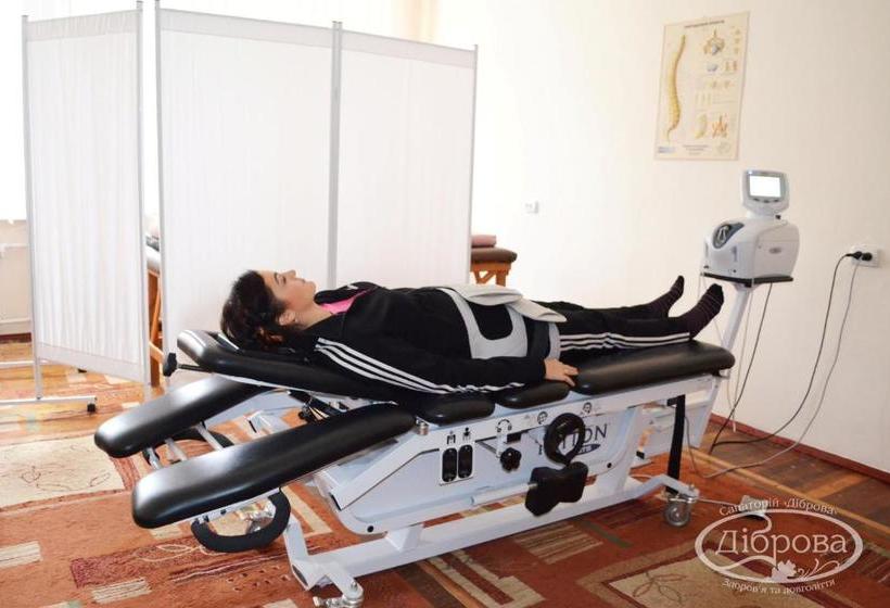 בית מלון כפרי Dibrova