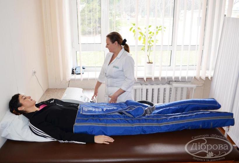 בית מלון כפרי Dibrova