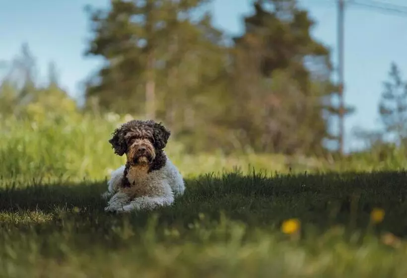 Hotelli Villa Ekbladh