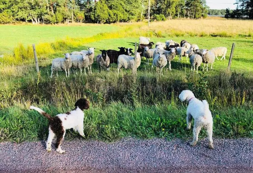 Hotelli Villa Ekbladh