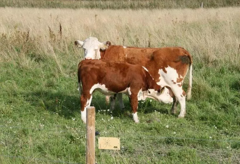 Hotelli Villa Ekbladh