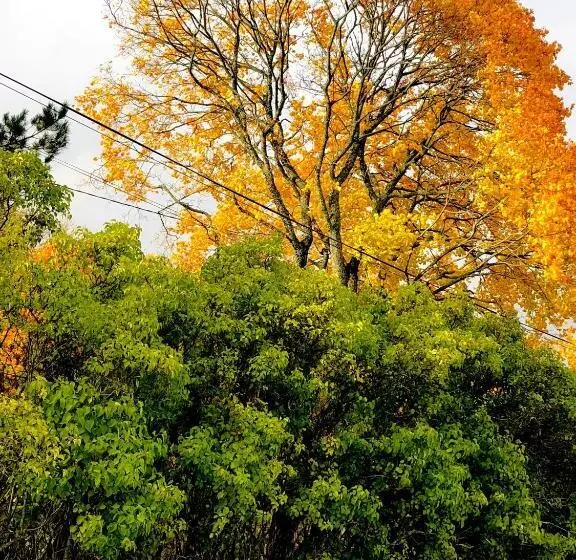 Hotelli Villa Ekbladh