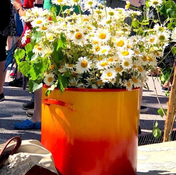 בית מלון כפרי Villa Ekbladh