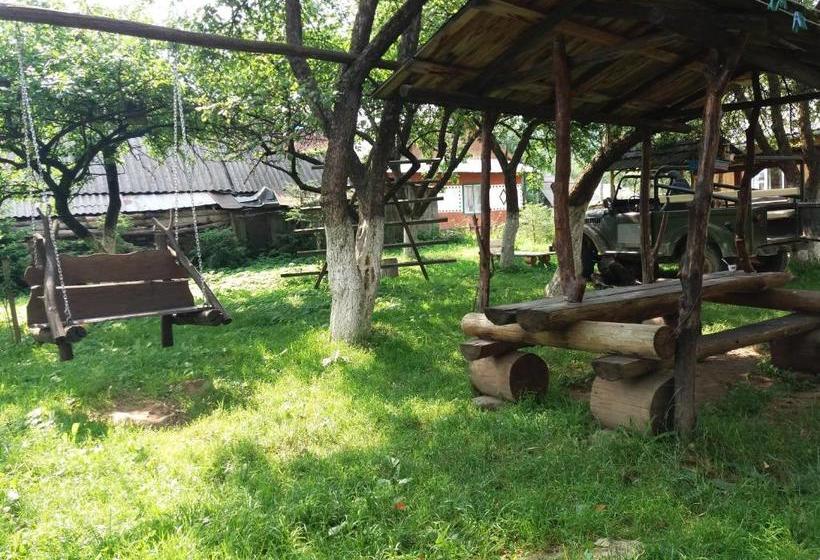 بنسيون колорит