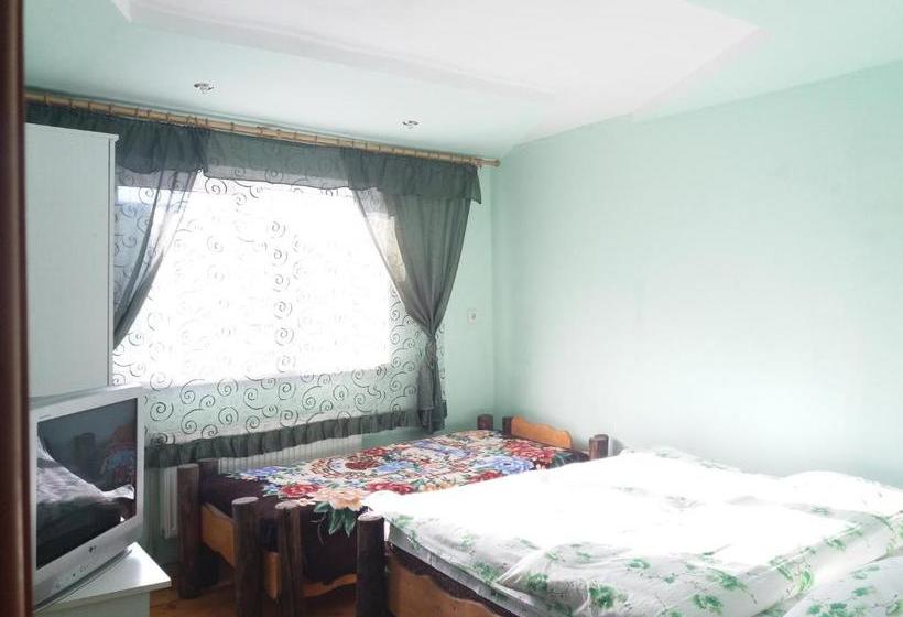 بنسيون колорит