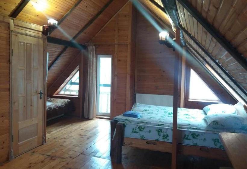 بنسيون колорит