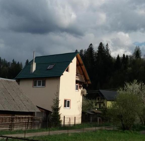 بنسيون колорит