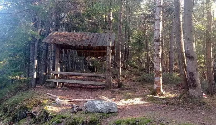 Majatalo колорит