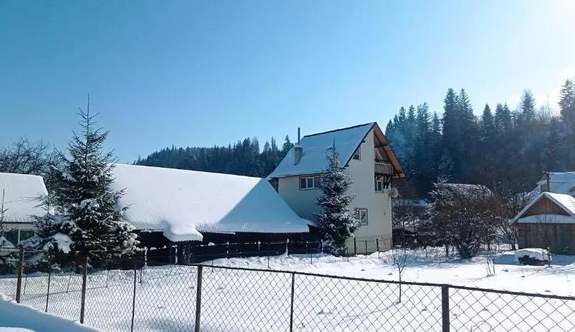 Majatalo колорит