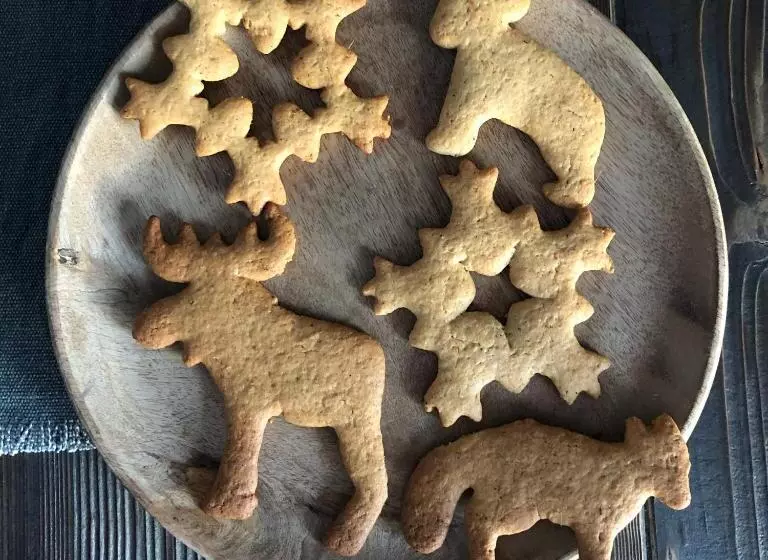 Retkeilymaja гуцульська хата