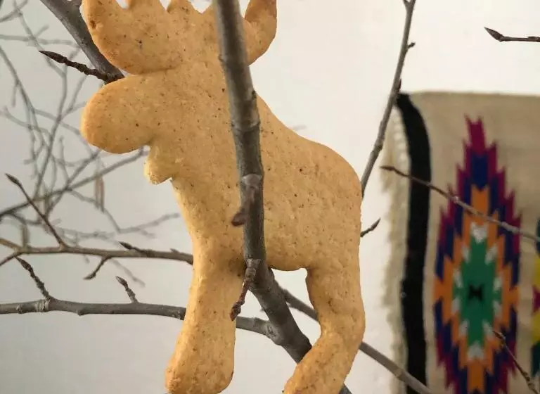 Retkeilymaja гуцульська хата