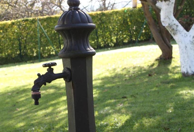 Общежитие Alojamiento Rural San Pedro