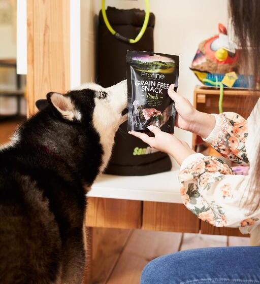 Hotel Chalets Franciska Major, Pro Village