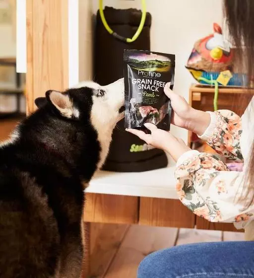 Hotelli Chalets Franciska Major, Pro Village