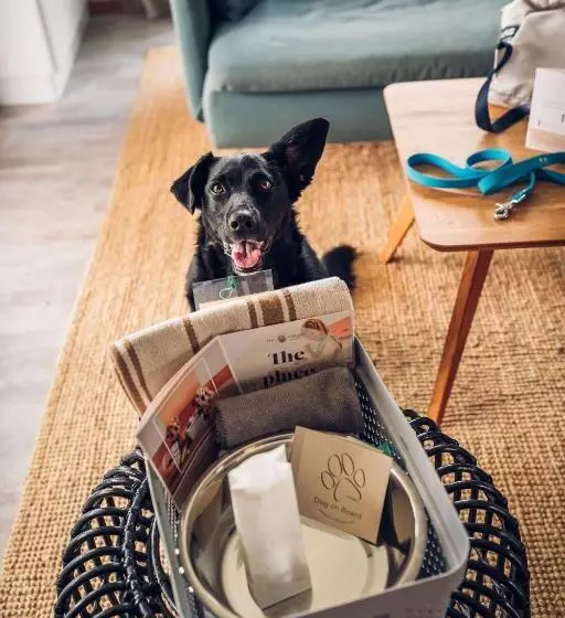 Hotelli Chalets Franciska Major, Pro Village