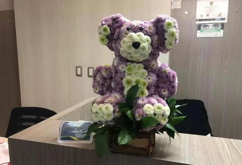 ホテル El Peñón