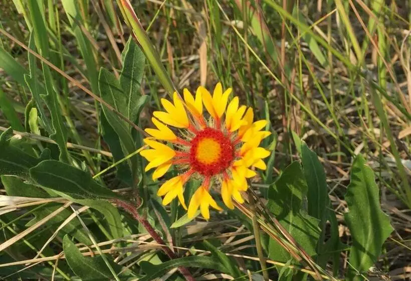 Misty Ridge Retreat B&b