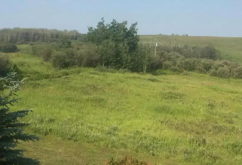 Misty Ridge Retreat B&b