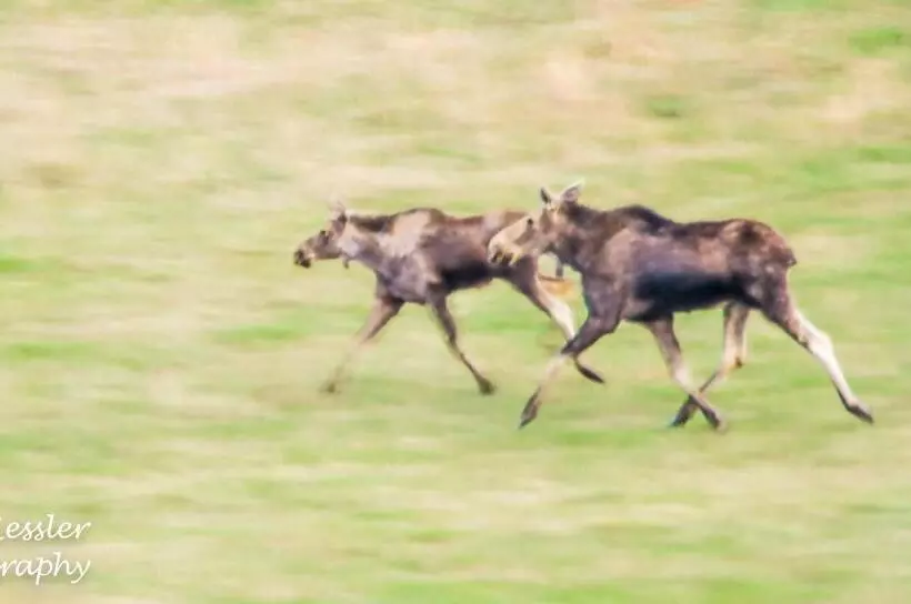 Misty Ridge Retreat B&b