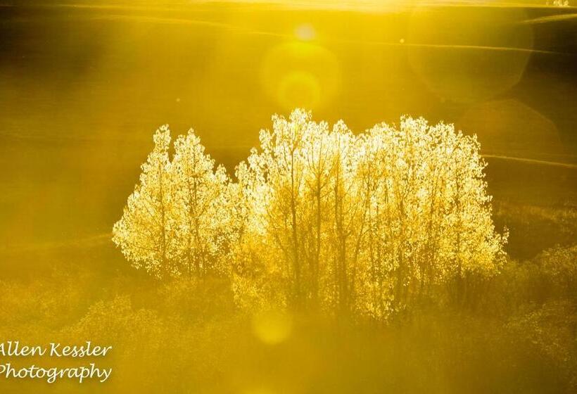 Misty Ridge Retreat B&b