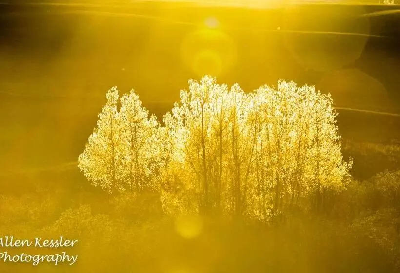 Misty Ridge Retreat B&b