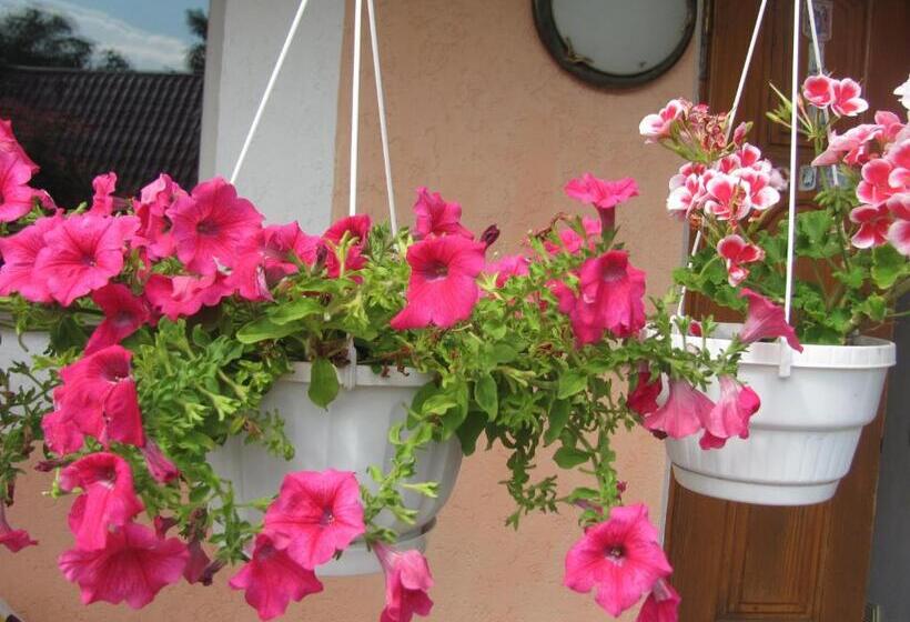 Пансион Hercules