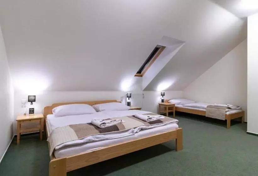 ペンション Penzion U řízků