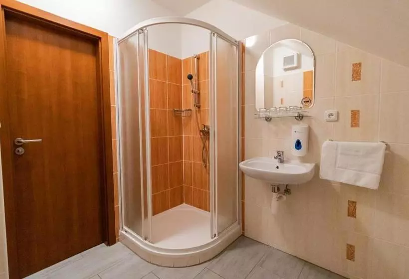 ペンション Penzion U řízků