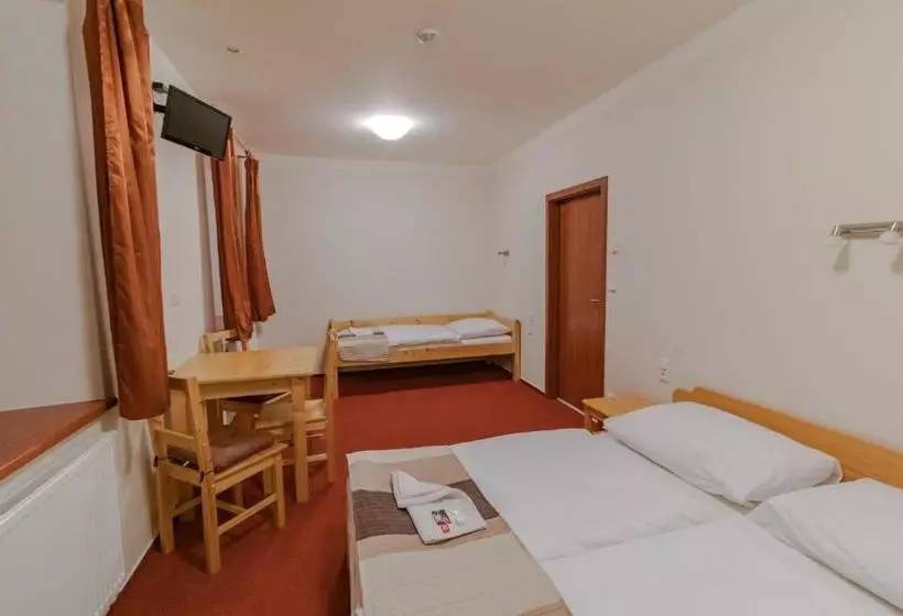 ペンション Penzion U řízků