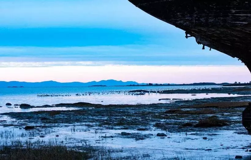 Auberge Pourvoirie Isle Aux Grues