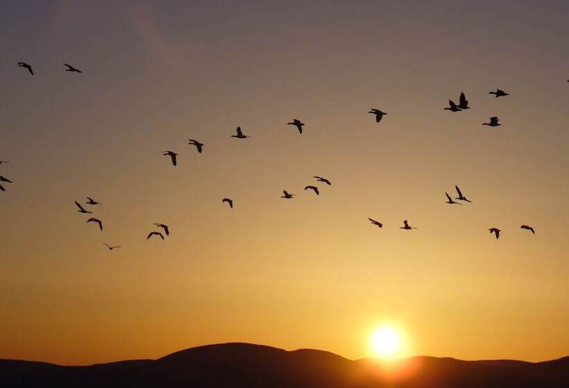 فندق صغير Auberge Pourvoirie Isle Aux Grues