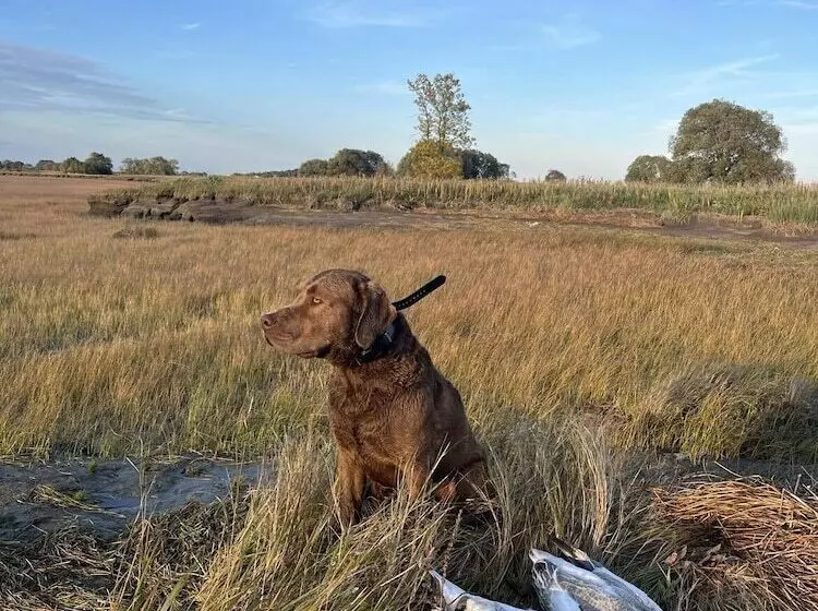 Auberge Pourvoirie Isle Aux Grues