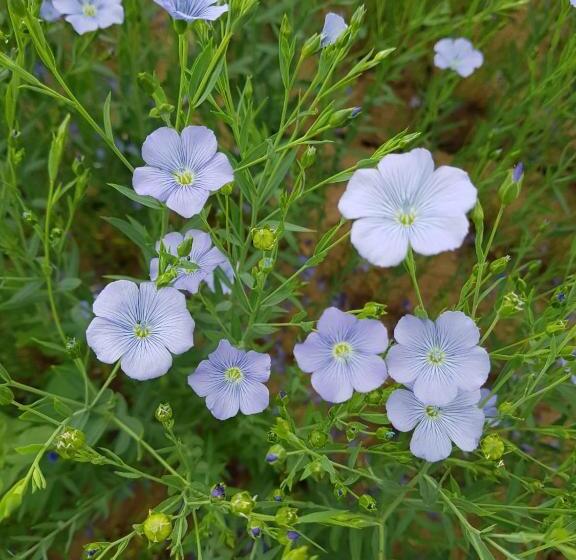 ユースホステル Gasthof Speneder