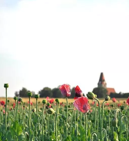 Retkeilymaja Gasthof Speneder