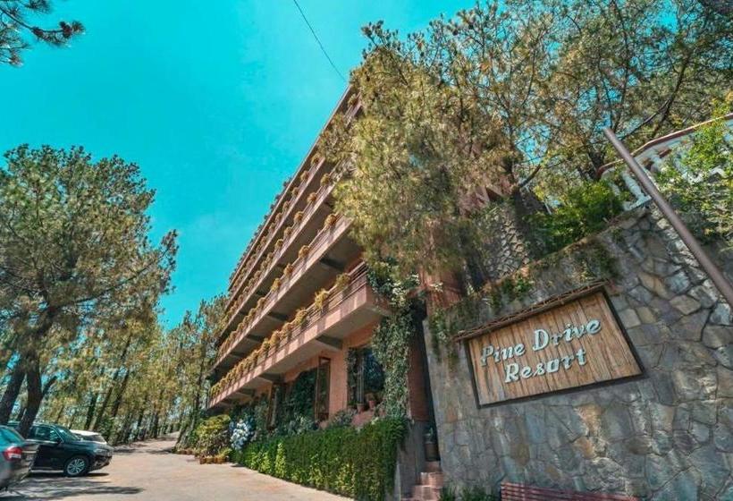 הוסטל Pine Drive Resort