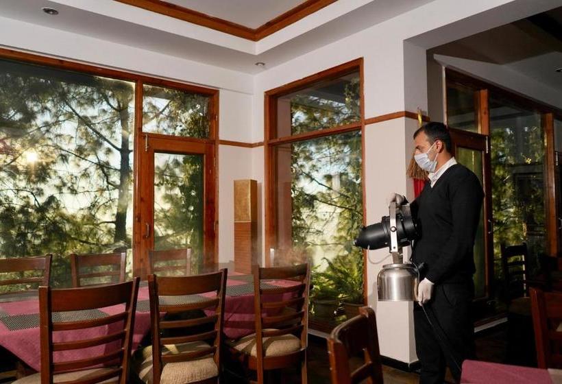 הוסטל Pine Drive Resort