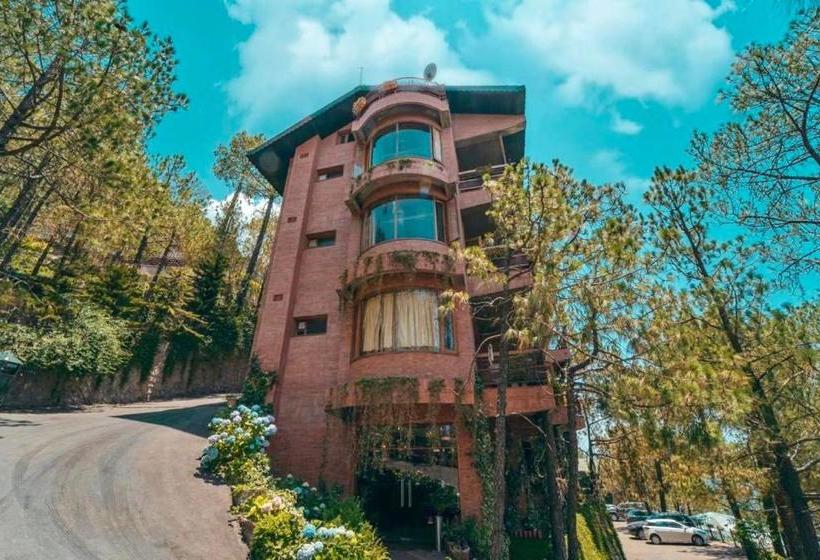 הוסטל Pine Drive Resort