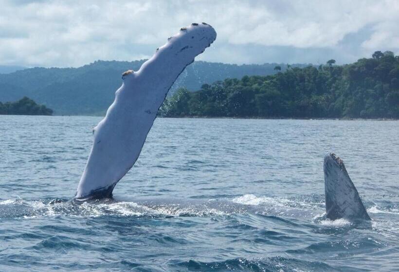 Hotel Cabañas Refugio Salomon