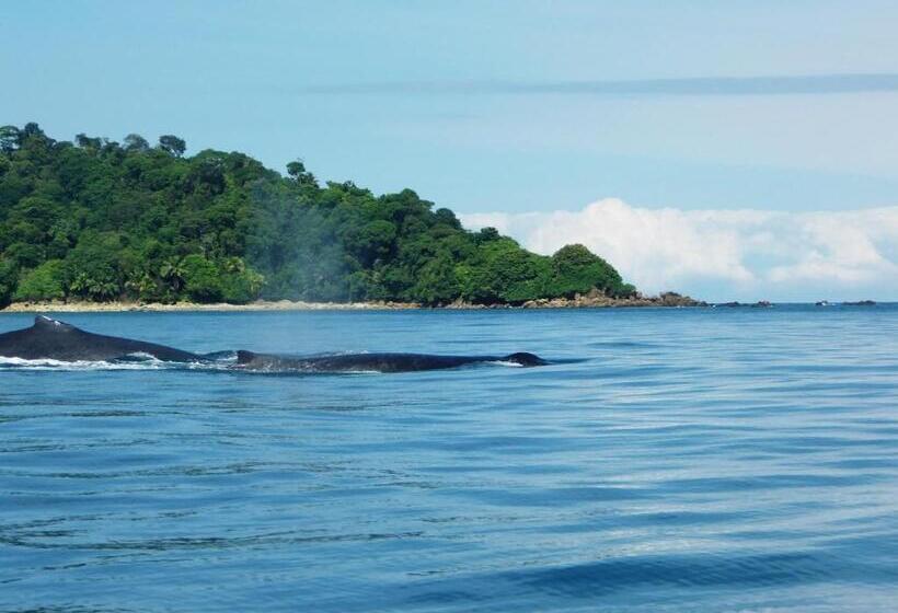 Hotel Cabañas Refugio Salomon
