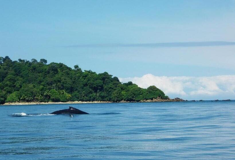 Hotel Cabañas Refugio Salomon