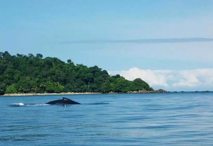 ホテル Cabañas Refugio Salomon