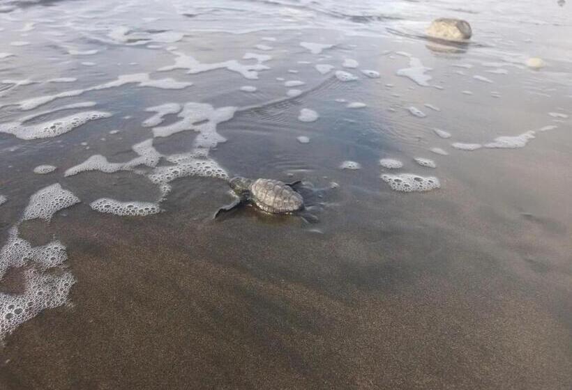 Hotel Cabañas Refugio Salomon