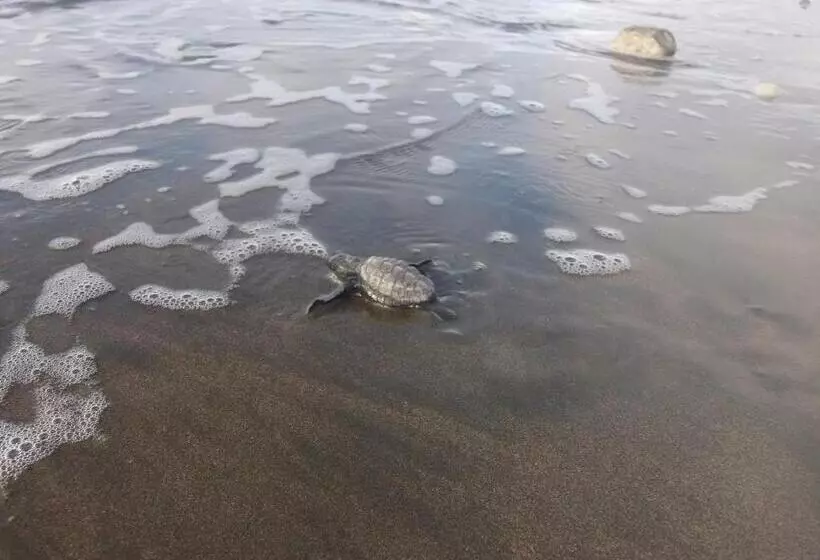 ホテル Cabañas Refugio Salomon