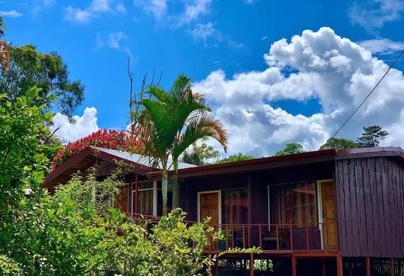 Hotelli Palenque Tarrazu