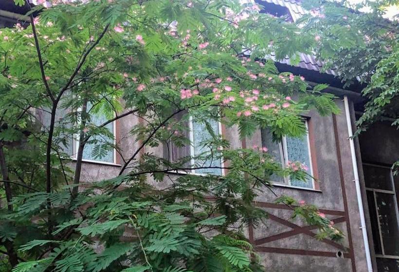 بنسيون апартаменты в центре кривого рога