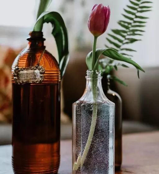 Retkeilymaja Northridge Inn & Resort