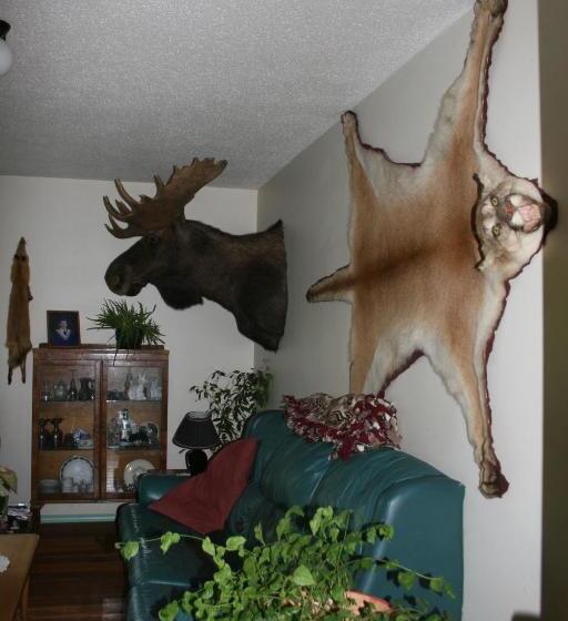 Dunphy's Bed And Breakfast